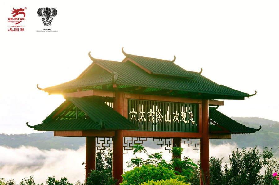 微信图片_2026-07-30_145016_923.jpg