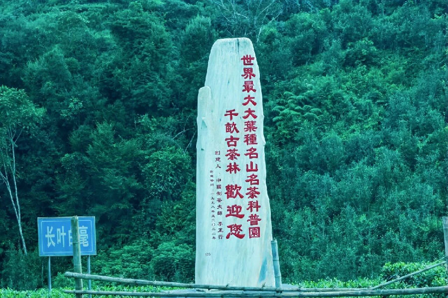 微信图片_2026-08-25_170624_314.jpg